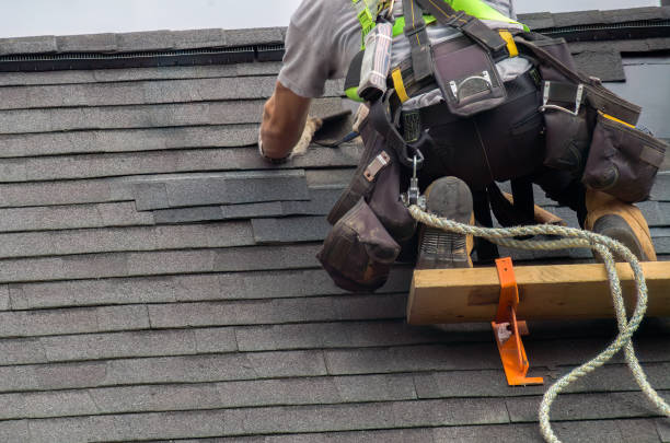 Best Storm Damage Roof Repair  in Thibodaux, LA