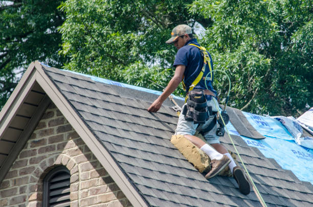 Gutter Installation and Roofing in Thibodaux, LA